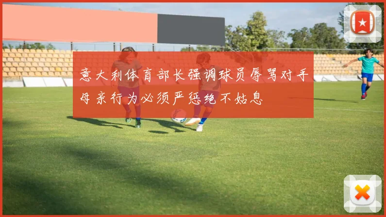 意大利体育部长强调球员辱骂对手母亲行为必须严惩绝不姑息